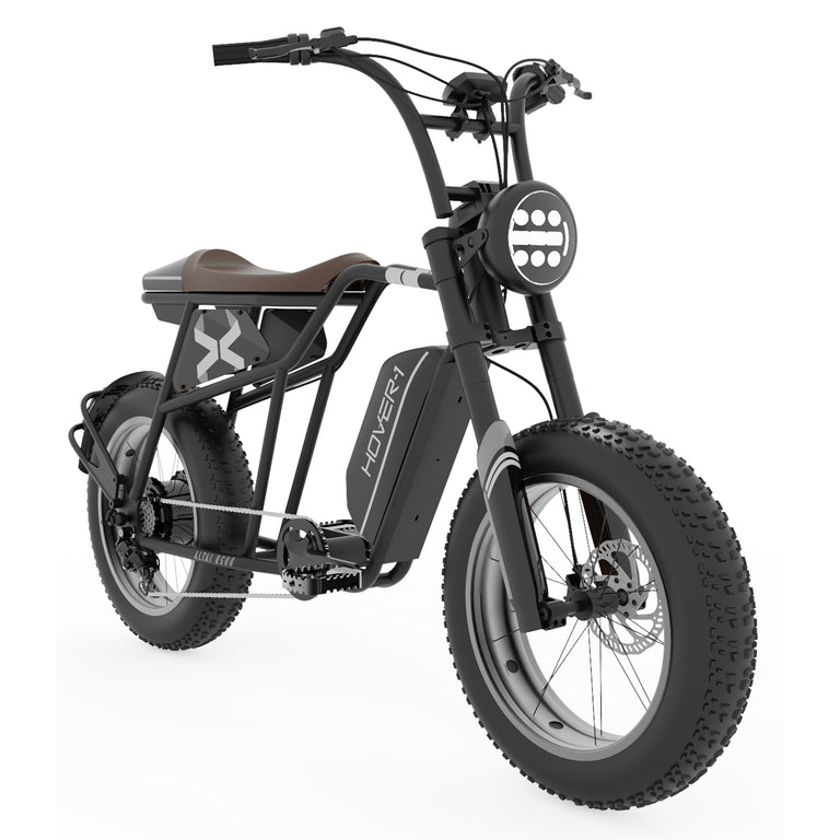 trekking e-bike viator 4.1i Hover-1 Altai R500 Electric Bike